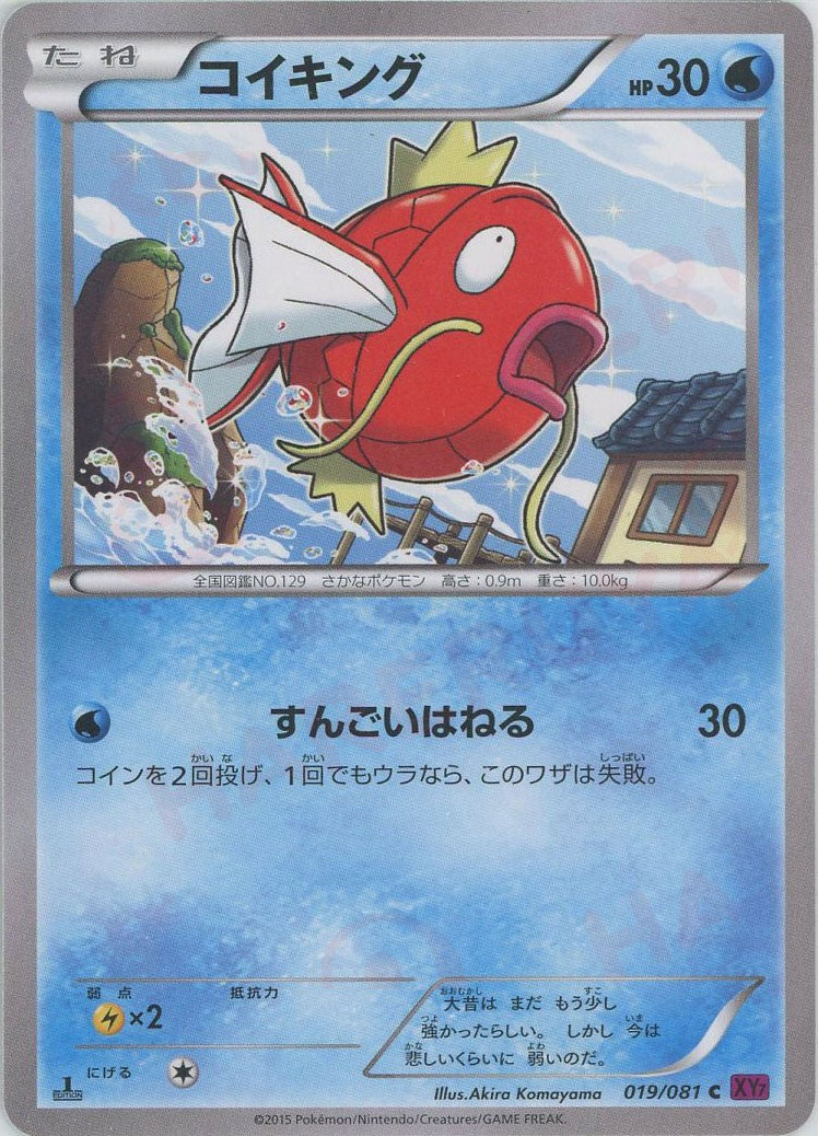 コイキング(C){水}〈019/081〉[XY7] – 晴れる屋2