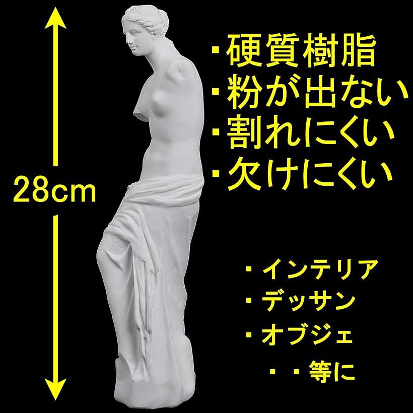 楽天市場】自宅が美術館 石膏像風 人物像 シリーズ 割れにくい カケ