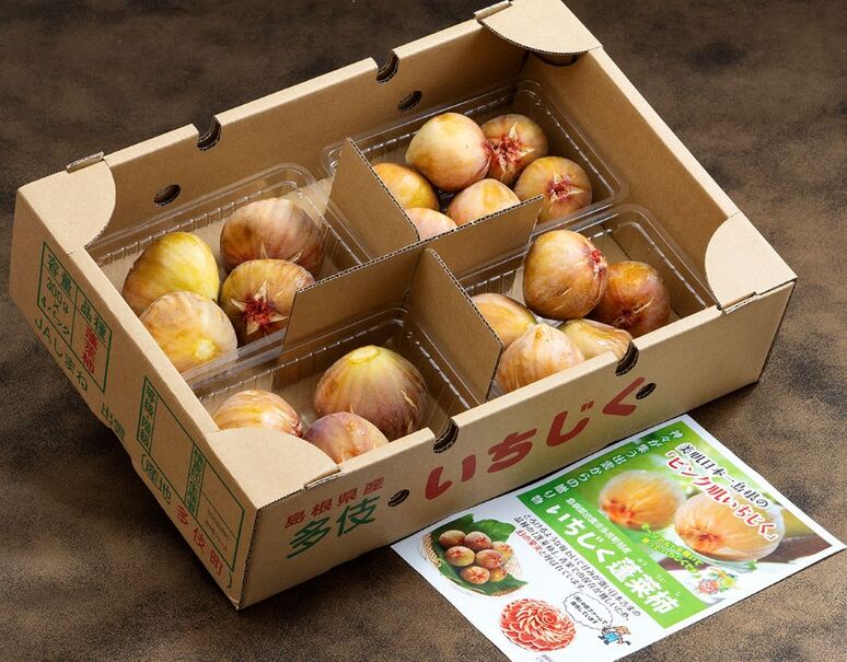 希少イチジク 「蓬莱柿（ほうらいし）」 秀品 島根県産 サイズ混合（S