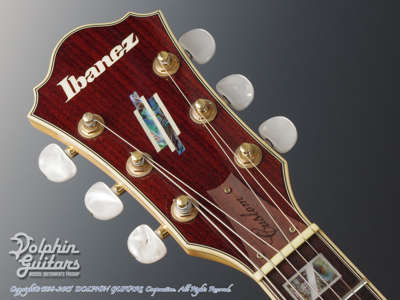 IBANEZ AF105-NT|ドルフィンギターズ