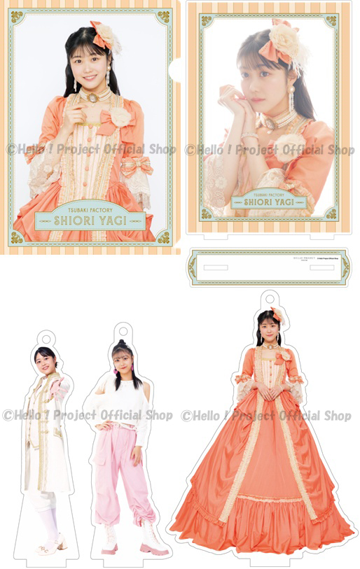 八木栞 卒業記念 A4クリアファイル／アクリルスタンドパネル