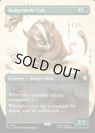 アナグマモグラの仔/Badgermole Cub - マスターズスクウェアMTG・FaB店