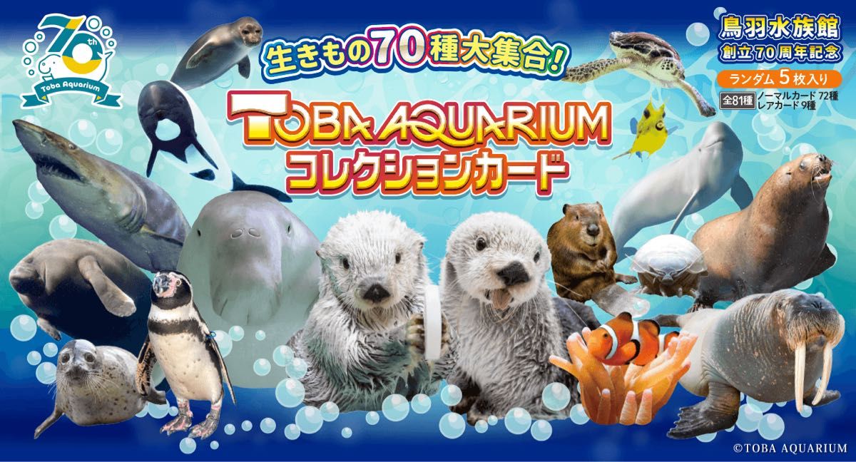 ノーマル コンプセット】鳥羽水族館 TOBA AQUARIUMコレクションカード