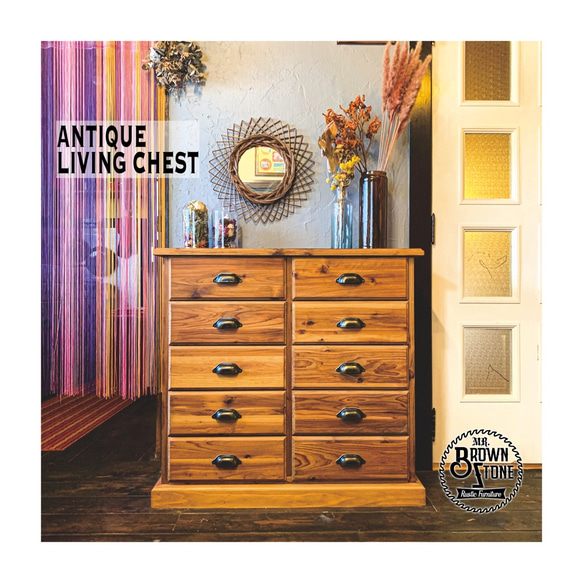 ANTIQUE LIVING CHEST 北欧 アンティーク 引き出し A4収納可 チェスト