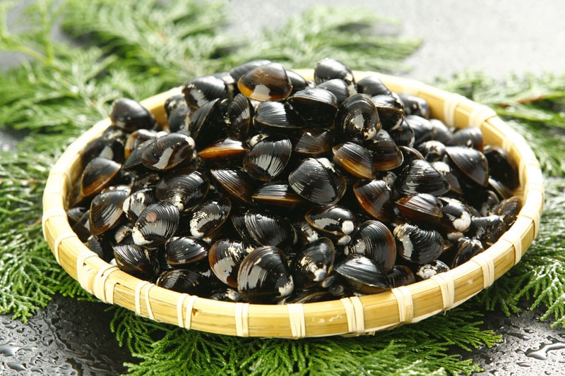 身がぷりぷり 島根県宍道湖産の冷凍砂抜大和しじみを通販でお届け