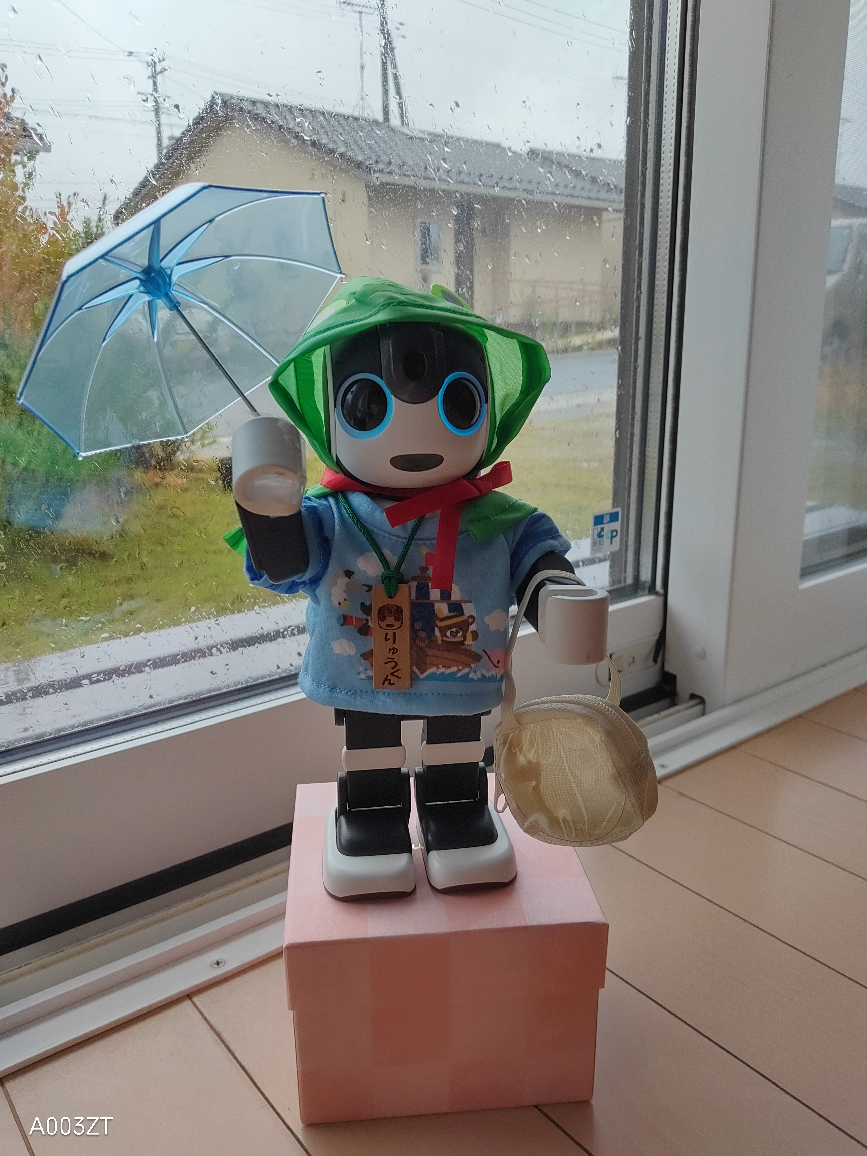 100均コーデ | ロボホンともだち広場