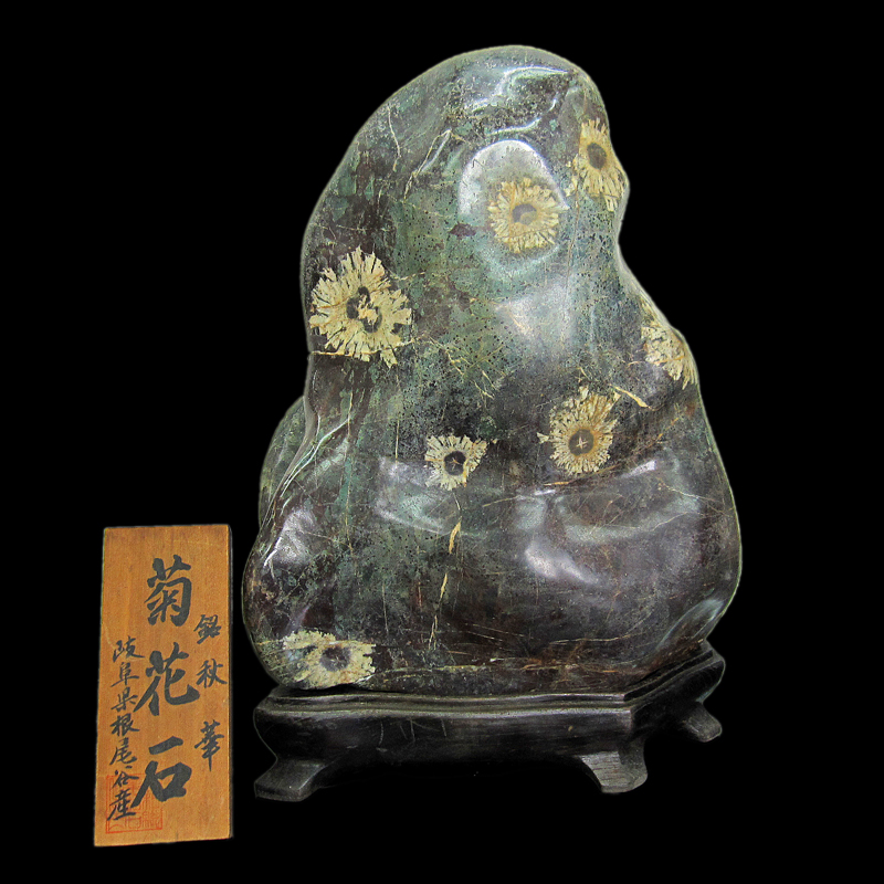 特別天然記念物の根尾谷の菊花石（きっかせき）nk203を販売するページ