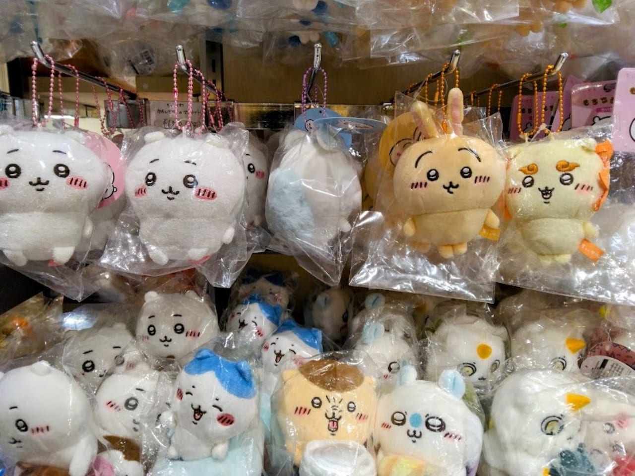 磐田市】静岡県西部初！あのPOPUPストアは大盛況！しかし掛川・袋井