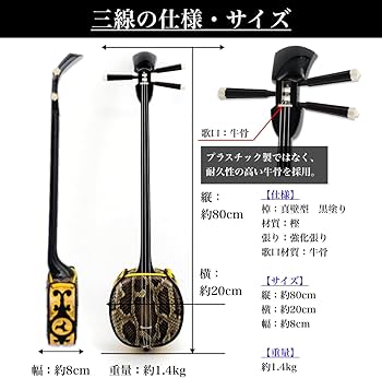 Amazon.co.jp: 三線 沖縄三線 初心者向けスタンダードセット 本蛇皮