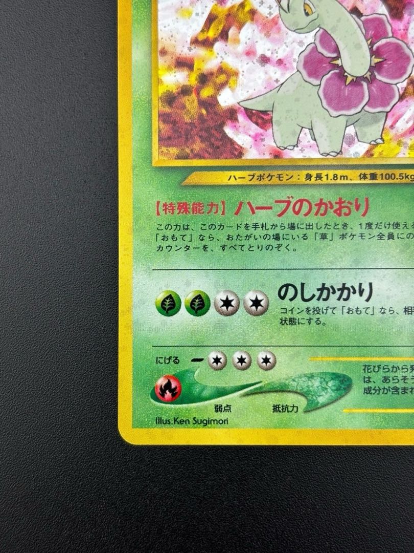 メガニウム 旧裏 psa8 渦あり 十字あり プレミアムファイル 旧裏