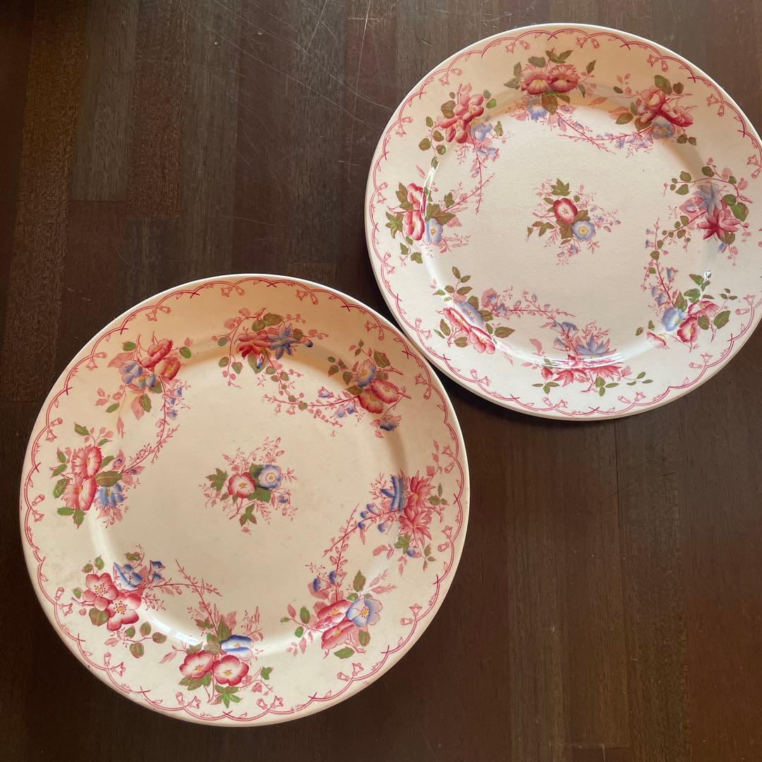 サルグミンヌ 花柄平皿 2枚セット BERTHA 約22.5cm プレート 14cm ノルディックフラワー 磁器 美濃焼 日本製 同色5枚