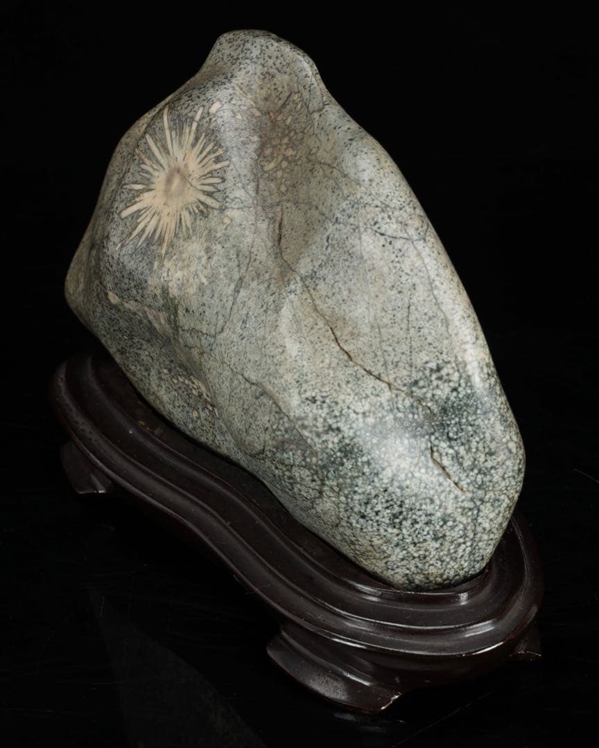 菊花石 紋石 台座付 1.7kg 鑑賞石 原石 自然石 美石 水石 盆石 飾石