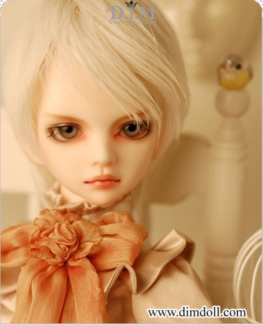 ★レア★廃盤★初期D.I.M ACE 本体 メイクアップ済★ウィッグ&アイ付★ XG WORLD TOUR: THE CORE LIMITED UNIT TRADING CARD BONUS】【CD