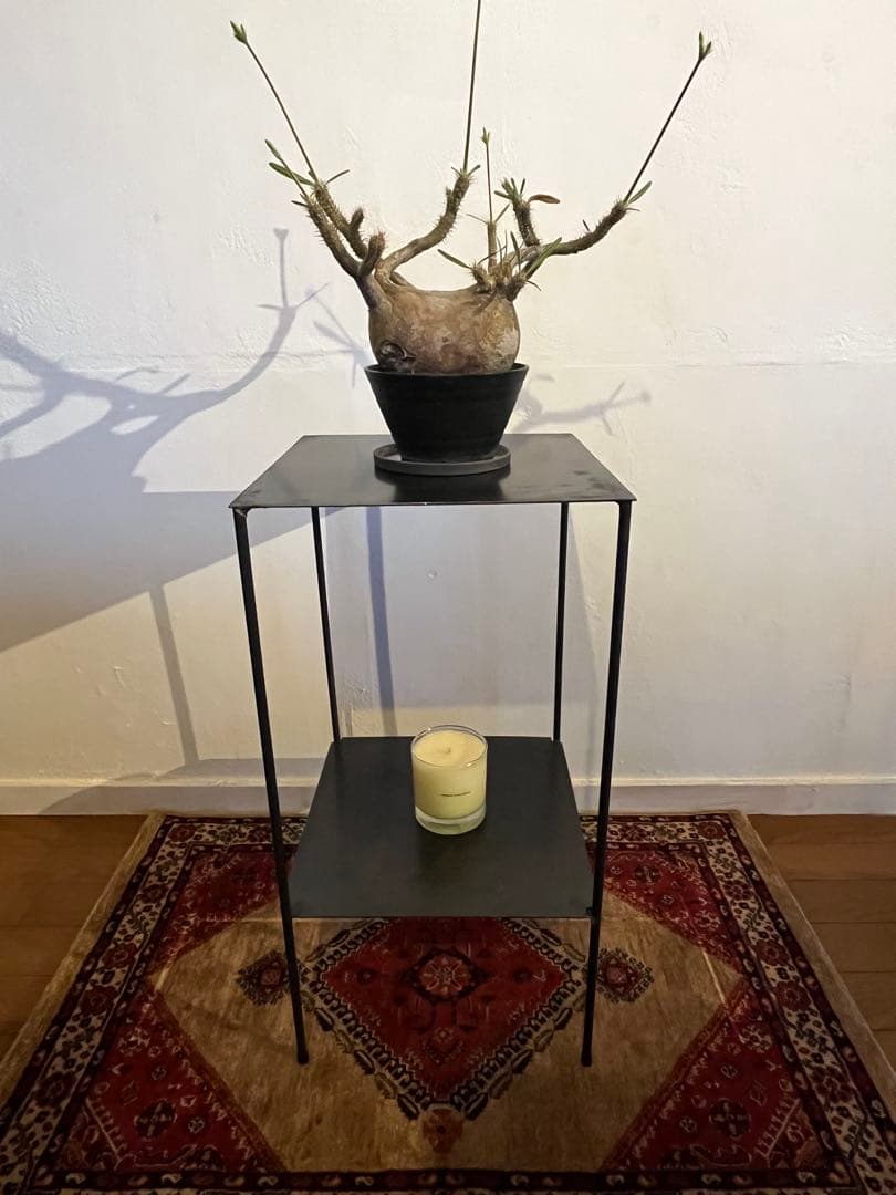 アイアン台　シンプル　無骨　植物棚　ディスプレイ棚 フラワースタンド 植物棚 アイアン」の人気商品一覧 | 安い商品を通販