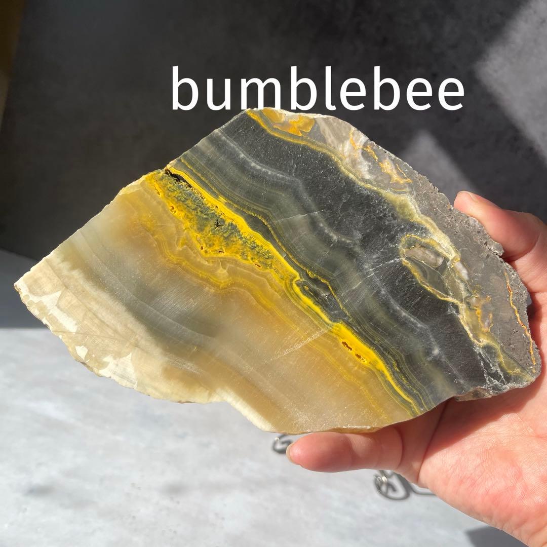 レア バンブルビー スラブ プレート s-l400.jpg