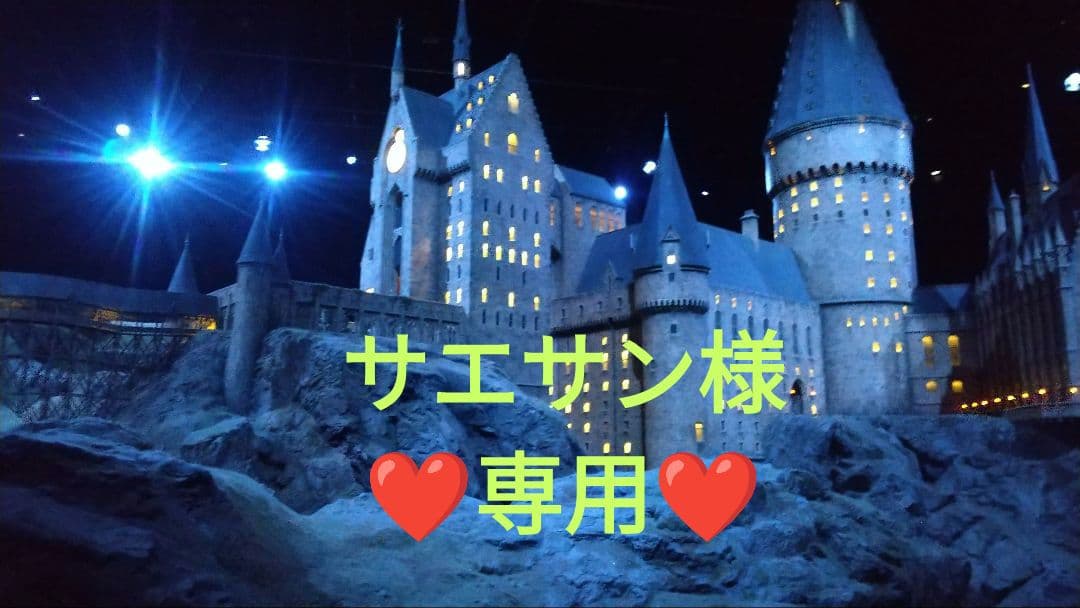 サエサン Super 73-ZX SE – Cecil's Cyclery