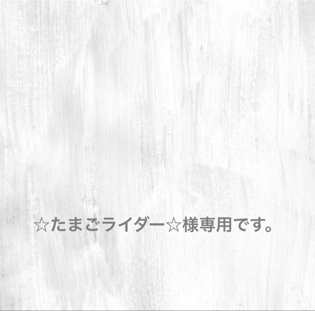 専用です。 楽天市場】STRIKER ストライカー スペシャルステップキット Ninja ZX